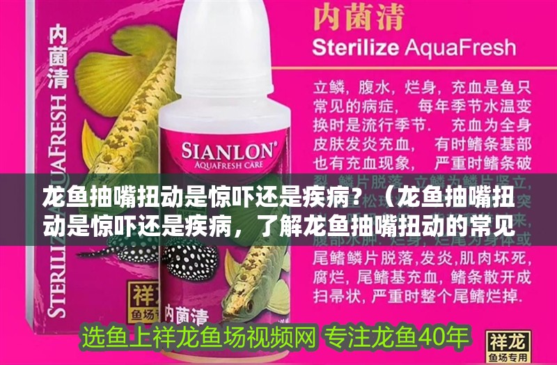 龍魚抽嘴扭動是驚嚇還是疾病？（龍魚抽嘴扭動是驚嚇還是疾病，了解龍魚抽嘴扭動的常見原因）