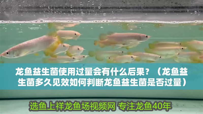 龍魚益生菌使用過量會有什么后果？（龍魚益生菌多久見效如何判斷龍魚益生菌是否過量）