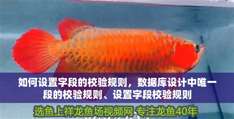 如何設(shè)置字段的校驗(yàn)規(guī)則，數(shù)據(jù)庫設(shè)計(jì)中唯一段的校驗(yàn)規(guī)則、設(shè)置字段校驗(yàn)規(guī)則