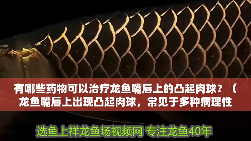 有哪些藥物可以治療龍魚嘴唇上的凸起肉球？（龍魚嘴唇上出現凸起肉球，常見于多種病理性原因）