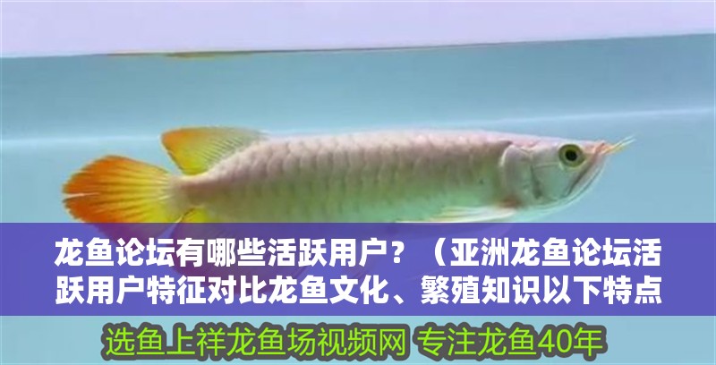 龍魚論壇有哪些活躍用戶？（亞洲龍魚論壇活躍用戶特征對(duì)比龍魚文化、繁殖知識(shí)以下特點(diǎn)）