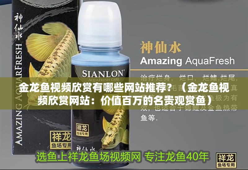 金龍魚視頻欣賞有哪些網(wǎng)站推薦？（金龍魚視頻欣賞網(wǎng)站：價(jià)值百萬的名貴觀賞魚）