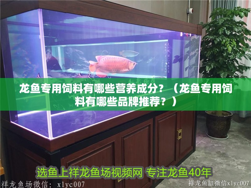 龍魚專用飼料有哪些營養成分？（龍魚專用飼料有哪些品牌推薦？）