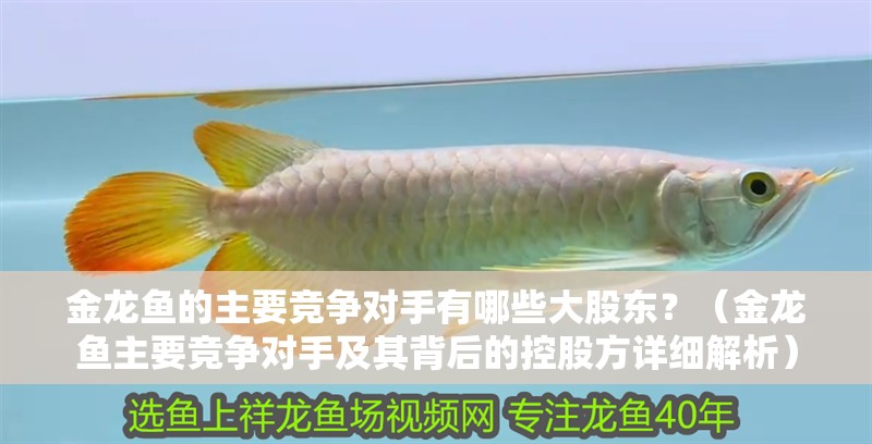 金龍魚的主要競爭對手有哪些大股東？（金龍魚主要競爭對手及其背后的控股方詳細解析）