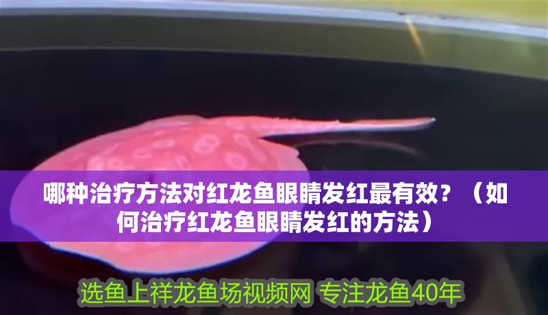 哪種治療方法對(duì)紅龍魚眼睛發(fā)紅最有效？（如何治療紅龍魚眼睛發(fā)紅的方法）