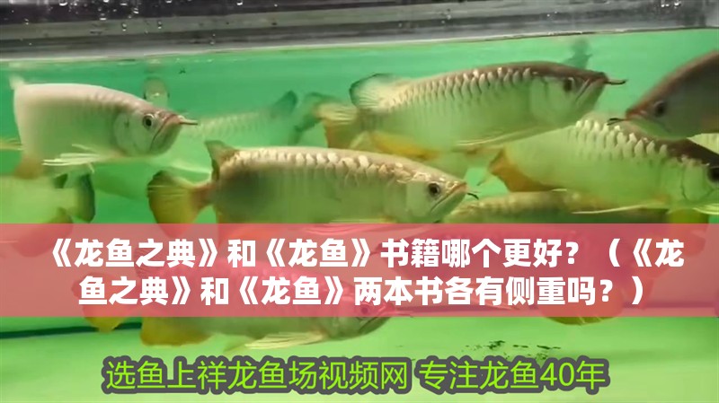 《龍魚之典》和《龍魚》書籍哪個更好？（《龍魚之典》和《龍魚》兩本書各有側重嗎？）