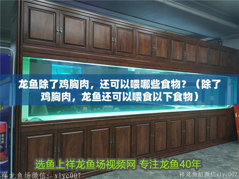 龍魚除了雞胸肉，還可以喂哪些食物？（除了雞胸肉，龍魚還可以喂食以下食物）