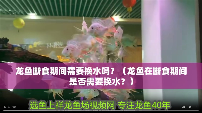 龍魚斷食期間需要換水嗎？（龍魚在斷食期間是否需要換水？）