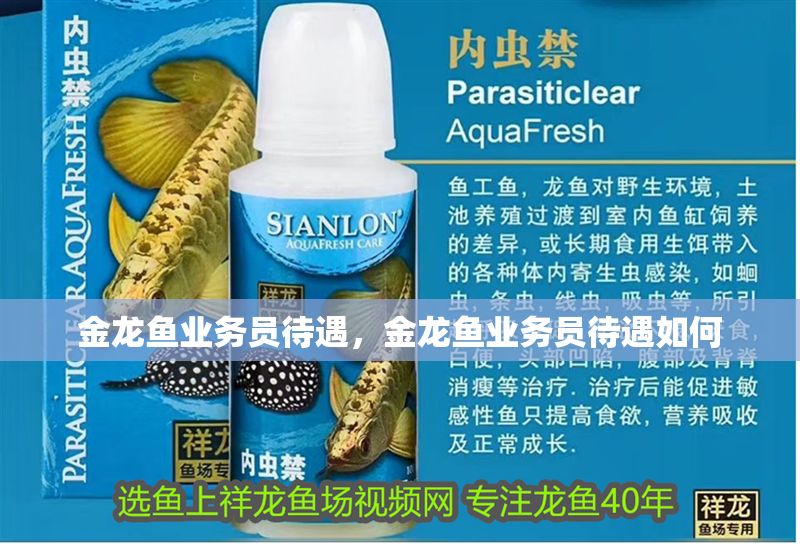 金龍魚業(yè)務(wù)員待遇，金龍魚業(yè)務(wù)員待遇如何 金龍魚業(yè)務(wù)員待遇，金龍魚業(yè)務(wù)員待遇如何 龍魚百科 第2張