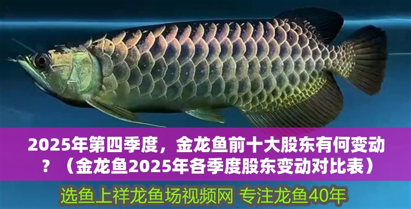 2025年第四季度，金龍魚前十大股東有何變動？（金龍魚2025年各季度股東變動對比表）