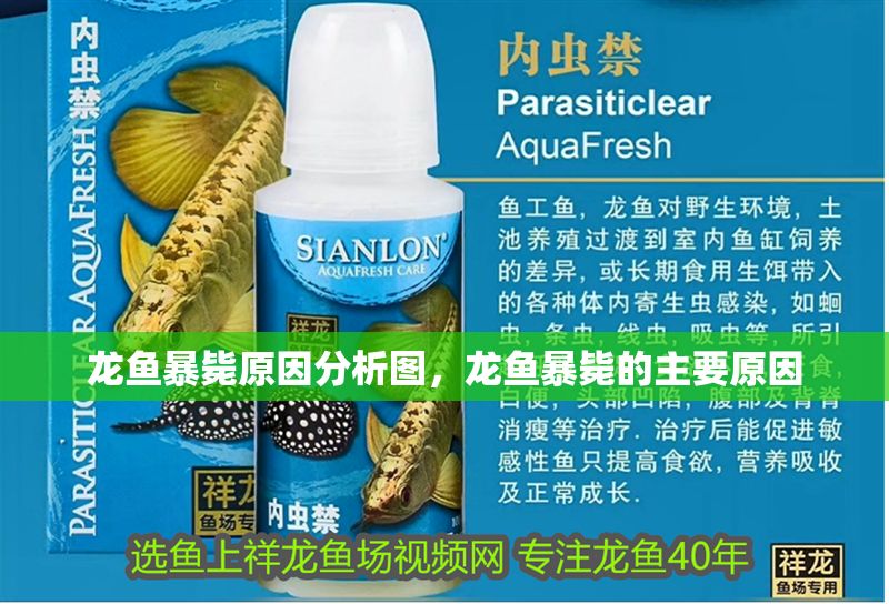 龍魚暴斃原因分析圖，龍魚暴斃的主要原因