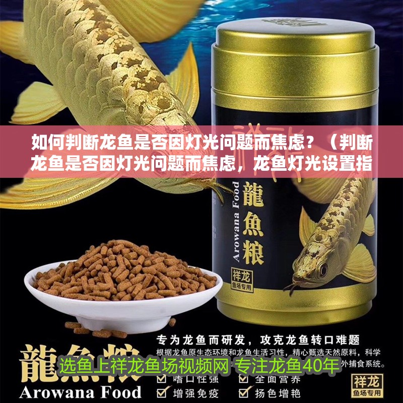 如何判斷龍魚是否因燈光問題而焦慮？（判斷龍魚是否因燈光問題而焦慮，龍魚燈光設置指南）