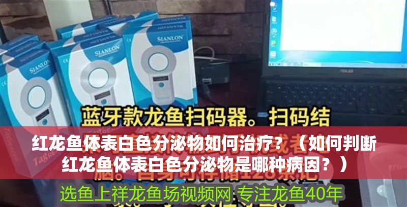 紅龍魚體表白色分泌物如何治療？（如何判斷紅龍魚體表白色分泌物是哪種病因？）