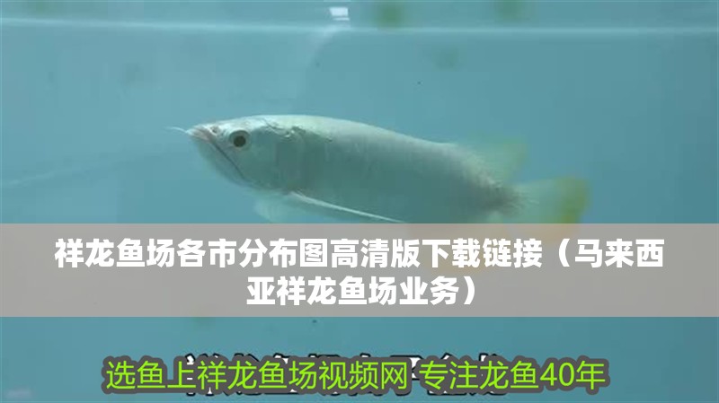 祥龍魚場各市分布圖高清版下載鏈接（馬來西亞祥龍魚場業(yè)務(wù)）