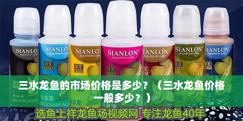 <strong><mark>三水</mark></strong>龍魚的市場價格是多少？（<strong><mark>三水</mark></strong>龍魚價格一般多少？）