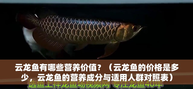 云龍魚有哪些營養價值？（云龍魚的價格是多少，云龍魚的營養成分與適用人群對照表）