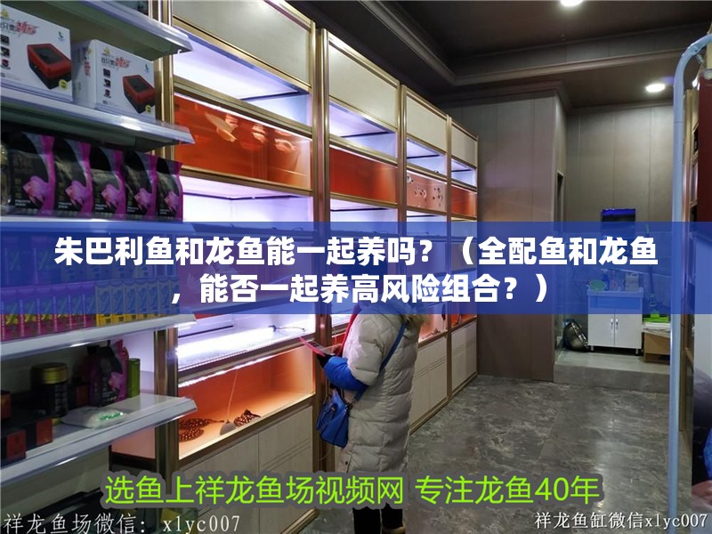 朱巴利魚和龍魚能一起養嗎？（全配魚和龍魚，能否一起養高風險組合？）