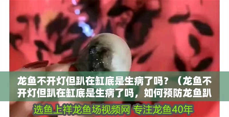 龍魚不開燈但趴在缸底是生病了嗎？（龍魚不開燈但趴在缸底是生病了嗎，如何預防龍魚趴缸）