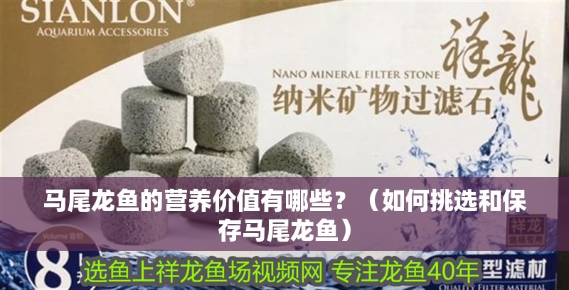 馬尾龍魚的營養價值有哪些？（如何挑選和保存馬尾龍魚）