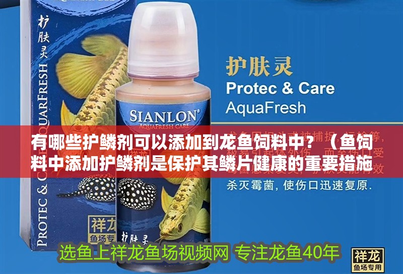 有哪些護鱗劑可以添加到龍魚飼料中？（魚飼料中添加護鱗劑是保護其鱗片健康的重要措施）