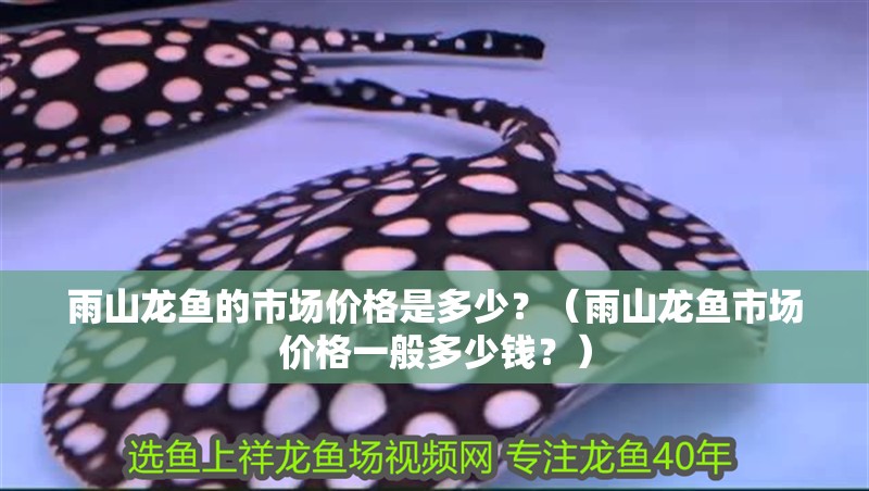 <strong><mark>雨山</mark></strong>龍魚的市場價格是多少？（<strong><mark>雨山</mark></strong>龍魚市場價格一般多少錢？）
