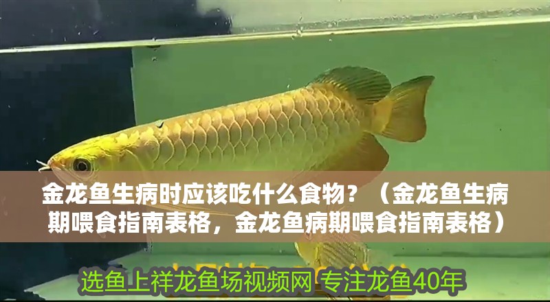 金龍魚生病時應該吃什么食物？（金龍魚生病期喂食指南表格，金龍魚病期喂食指南表格）