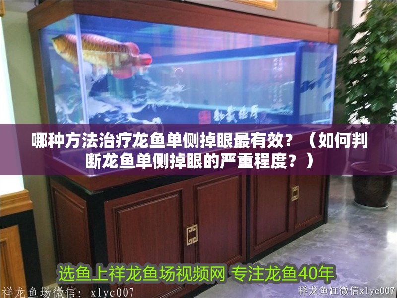 哪種方法治療龍魚單側掉眼最有效？（如何判斷龍魚單側掉眼的嚴重程度？）