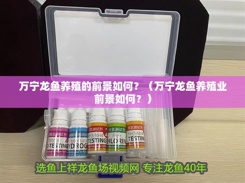 萬寧龍魚養殖的前景如何？（萬寧龍魚養殖業前景如何？）