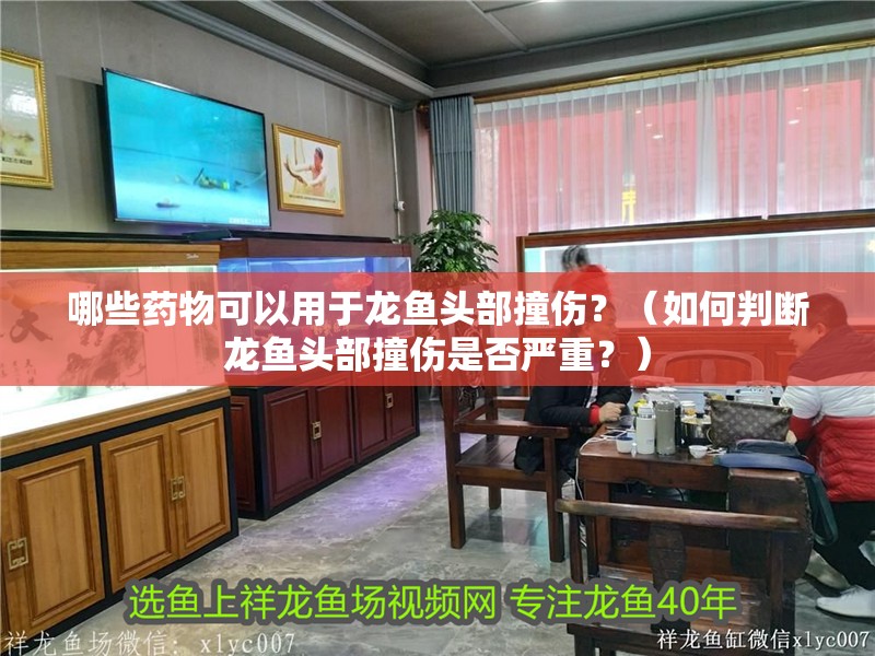 哪些藥物可以用于龍魚頭部撞傷？（如何判斷龍魚頭部撞傷是否嚴重？）
