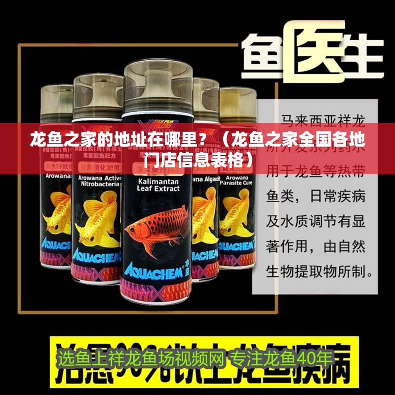 龍魚之家的地址在哪里？（龍魚之家全國各地門店信息表格）