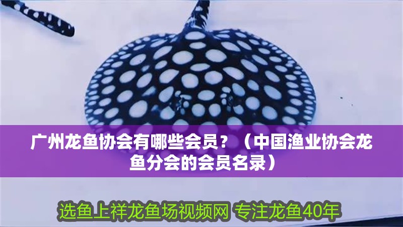 廣州龍魚協會有哪些會員？（中國漁業協會龍魚分會的會員名錄）