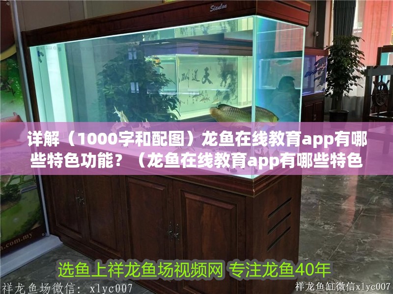 詳解（1000字和配圖）龍魚在線教育app有哪些特色功能？（龍魚在線教育app有哪些特色功能？）