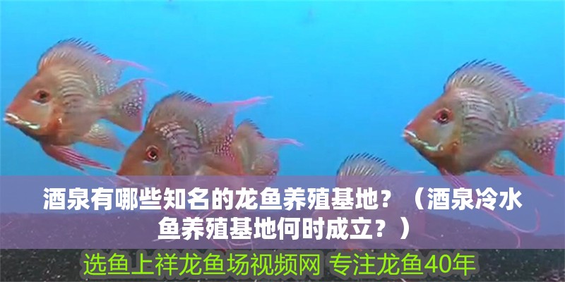 酒泉有哪些知名的龍魚養殖基地？（酒泉冷水魚養殖基地何時成立？）