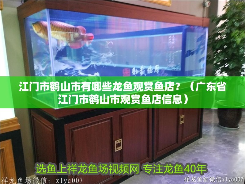 江門市鶴山市有哪些龍魚觀賞魚店？（廣東省江門市鶴山市觀賞魚店信息） 江門市鶴山市有哪些龍魚觀賞魚店？（廣東省江門市鶴山市觀賞魚店信息） 龍魚百科