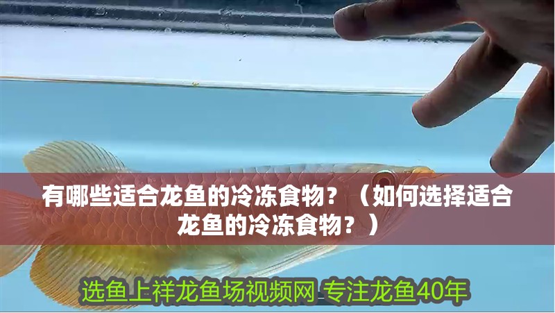 有哪些適合龍魚的冷凍食物？（如何選擇適合龍魚的冷凍食物？）
