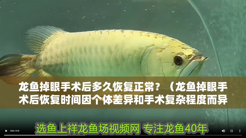 龍魚掉眼手術(shù)后多久恢復(fù)正常？（龍魚掉眼手術(shù)后恢復(fù)時(shí)間因個(gè)體差異和手術(shù)復(fù)雜程度而異）