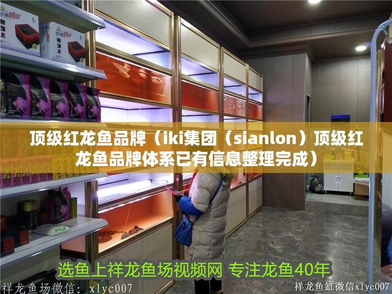 頂級(jí)紅龍魚(yú)品牌（iki集團(tuán)（sianlon）頂級(jí)紅龍魚(yú)品牌體系已有信息整理完成）
