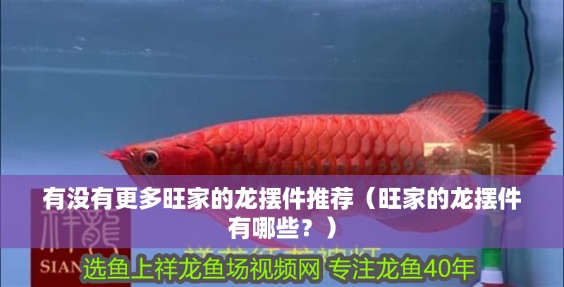 有沒有更多旺家的龍擺件推薦（旺家的龍擺件有哪些？）