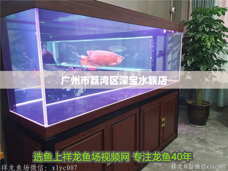 廣州市荔灣區深寶水族店