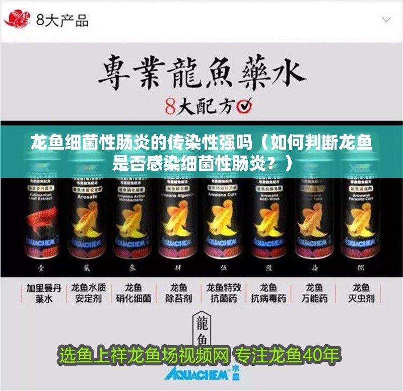 龍魚細菌性腸炎的傳染性強嗎（如何判斷龍魚是否感染細菌性腸炎？）