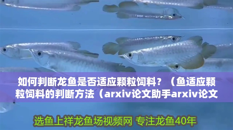 如何判斷龍魚是否適應顆粒飼料？（魚適應顆粒飼料的判斷方法（arxiv論文助手arxiv論文助手）） 如何判斷龍魚是否適應顆粒飼料？（魚適應顆粒飼料的判斷方法（arxiv論文助手arxiv論文助手）） 龍魚百科