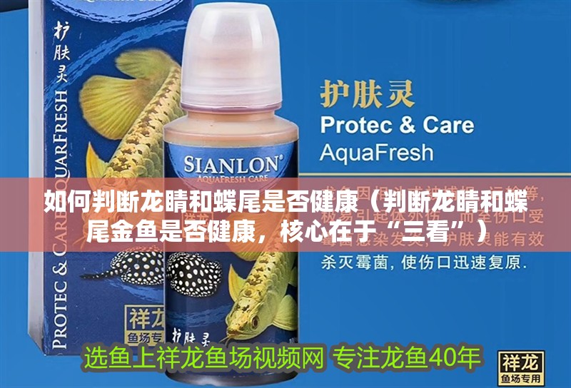 如何判斷龍睛和蝶尾是否健康（判斷龍睛和蝶尾金魚是否健康，核心在于“三看”）