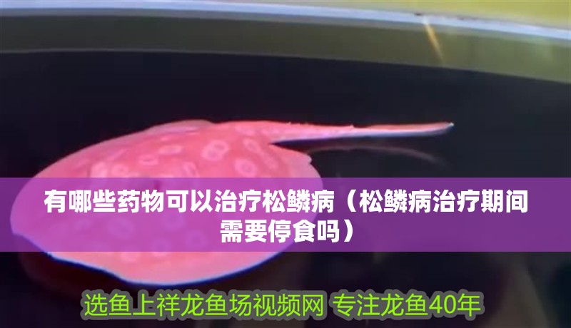 有哪些藥物可以治療松鱗病（松鱗病治療期間需要停食嗎）