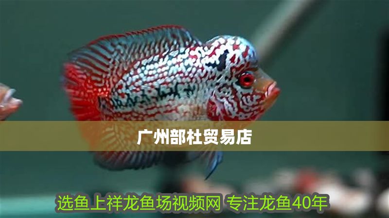 廣州部杜貿(mào)易店