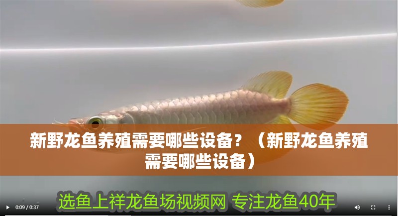 新野龍魚養殖需要哪些設備？（新野龍魚養殖需要哪些設備）