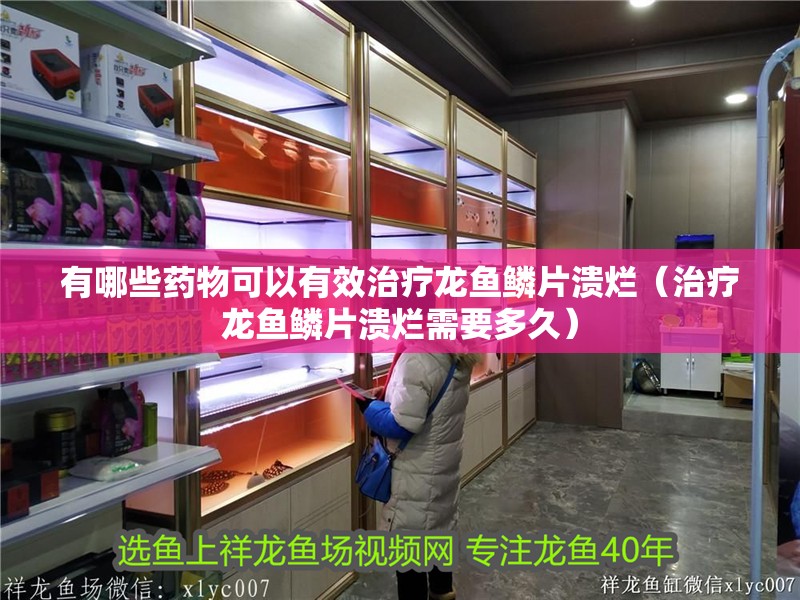 有哪些藥物可以有效治療龍魚鱗片潰爛（治療龍魚鱗片潰爛需要多久）