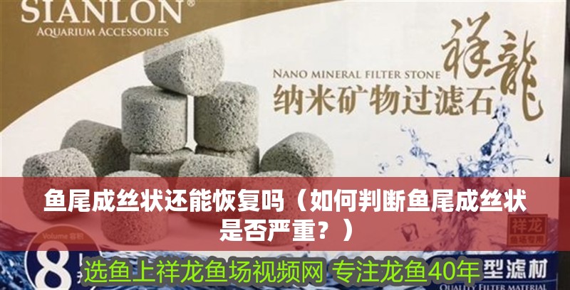 魚尾成絲狀還能恢復嗎（如何判斷魚尾成絲狀是否嚴重？）