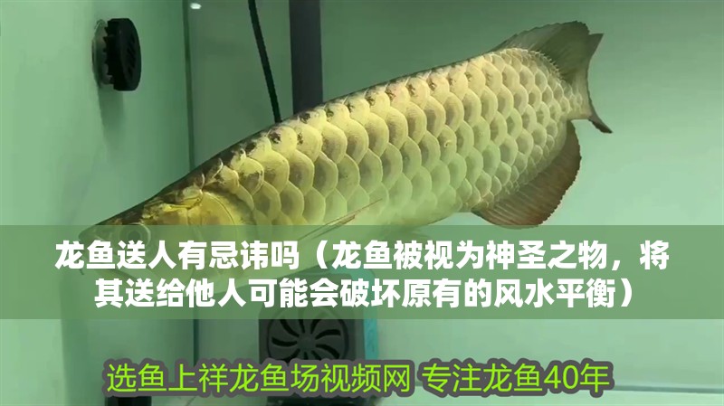 龍魚送人有忌諱嗎（龍魚被視為神圣之物，將其送給他人可能會破壞原有的風水平衡）