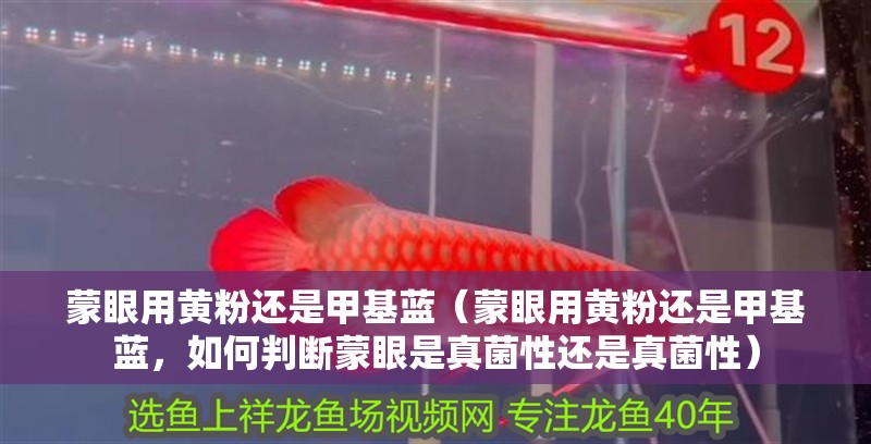 蒙眼用黃粉還是甲基藍（蒙眼用黃粉還是甲基藍，如何判斷蒙眼是真菌性還是真菌性）