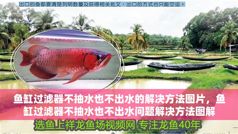 魚缸過濾器不抽水也不出水的解決方法圖片，魚缸過濾器不抽水也不出水問題解決方法圖解
